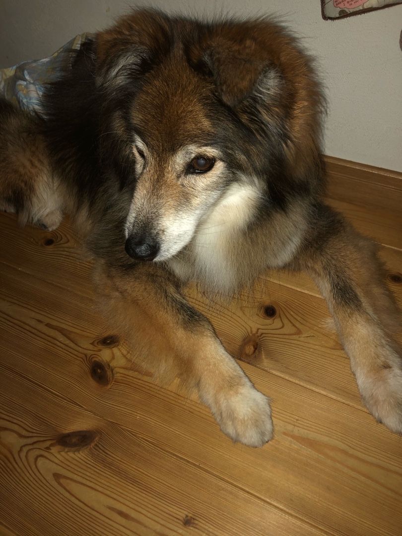 食欲無し Fun To Life 楽天ブログ