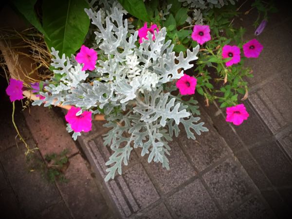 rblog-20150728202710-00.jpg
