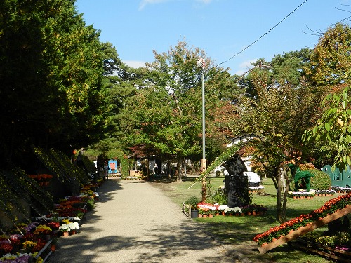 DSCN5236.jpg
