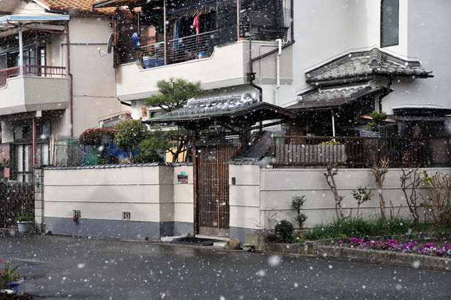 雪３