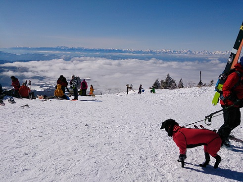 snowcat7.jpg