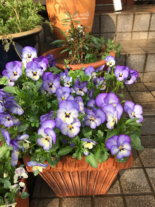 rblog-20190401164419-03.jpg