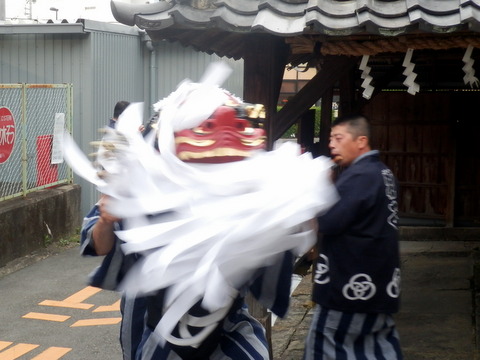 町を練り歩き獅子舞