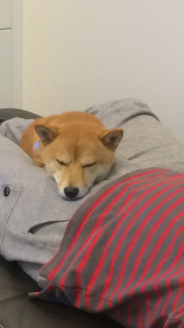 rblog-20151214001401-01.jpg