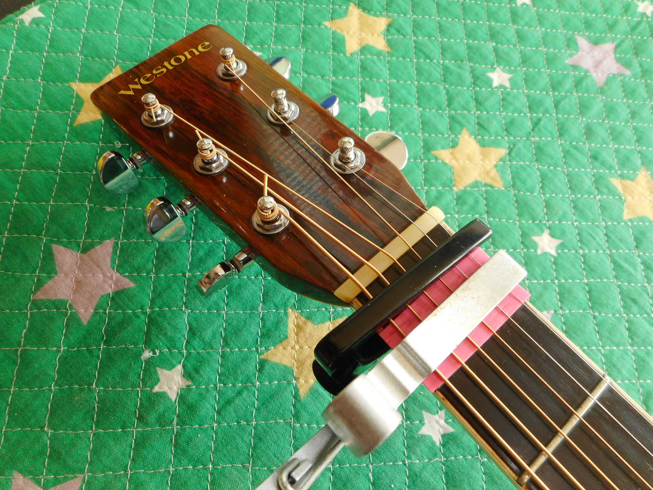 Bibian 比比昂- Westone W-80 サイド&バックハカランダ最上級