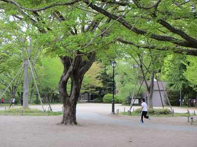 １５西公園２.jpg