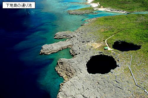 ユカタン半島のセノーテ | 耳（ミミ）とチャッピの布団 - 楽天ブログ