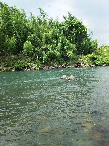 DSC_0004.JPG