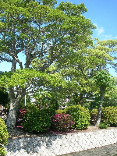 九華公園　三之丸堀その2