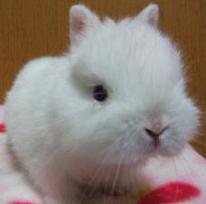sarababy4-30-2012.JPG