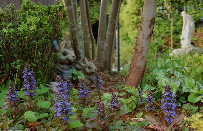 601c30b43a86d096cebe288adf3b6fb0e73ba515_32_2_9_2.jpg