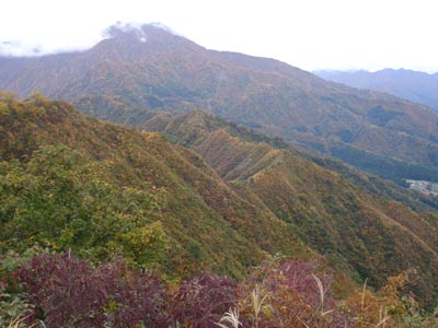 山