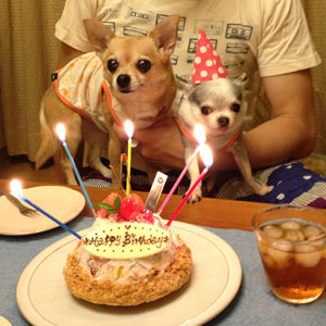 おいちゃんと