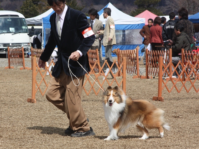 IMG_1200 - コピー.JPG