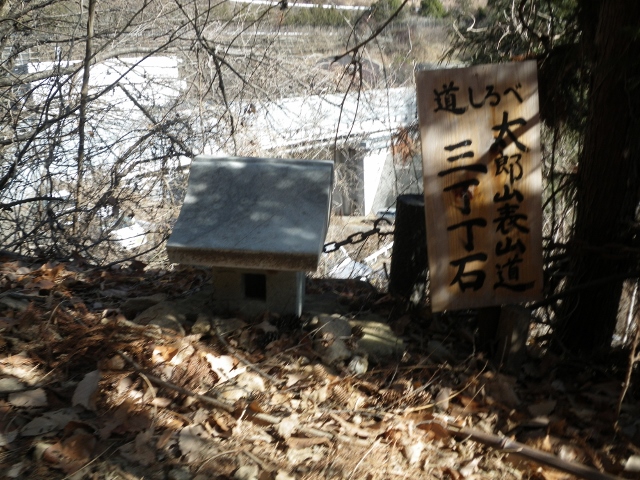 IMGP4987 (640x480).jpg