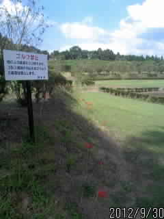 ゴルフ禁止の看板