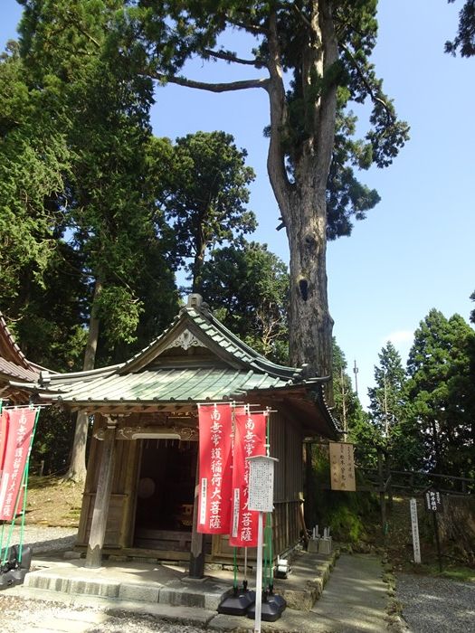 DSC01066_R.JPG
