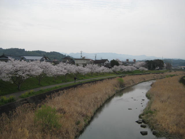 IMG_0437.JPG