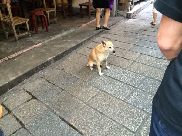 rblog-20161101042118-03.jpg