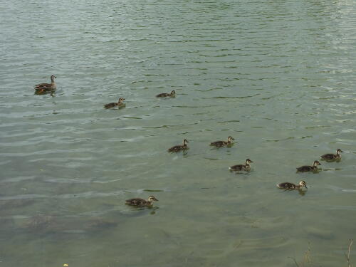 小池公園にて