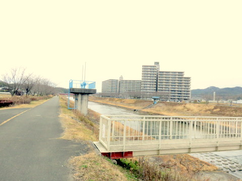 武庫川風景