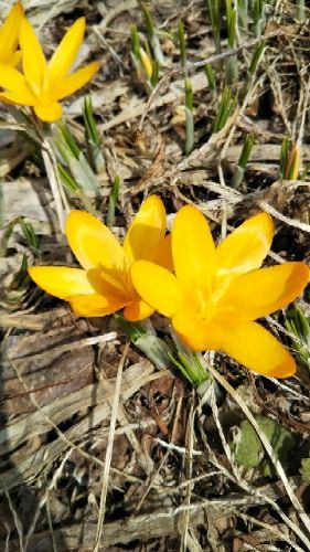rblog-20180327204418-02.jpg