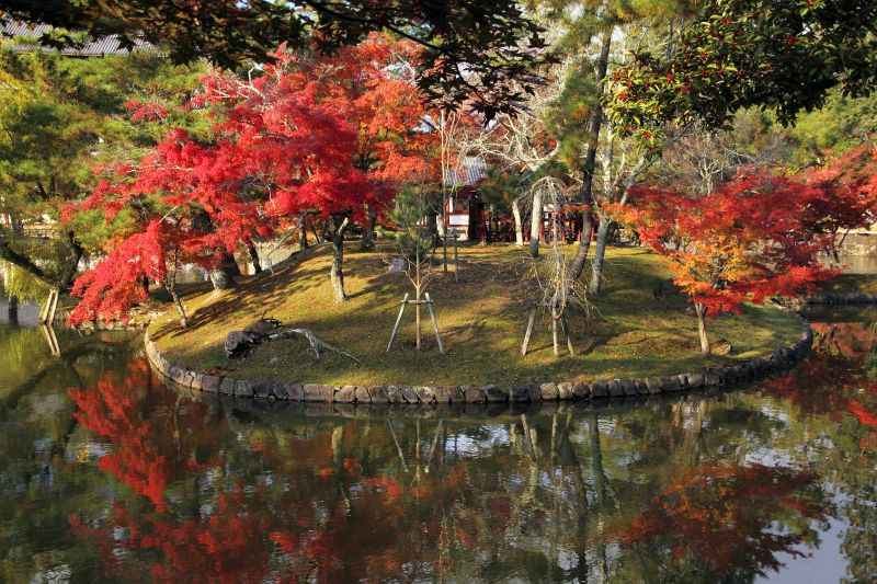 奈良公園・鏡池_006.jpg