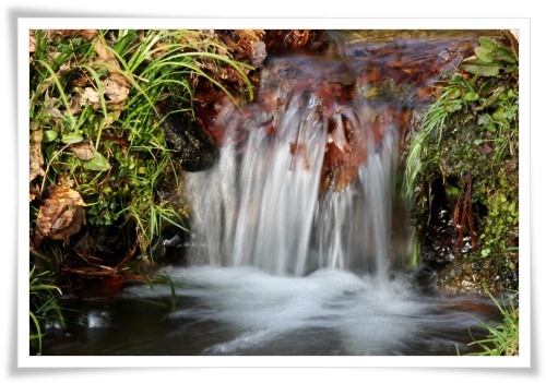 樹木公園-8 川の流れ 13.3.19