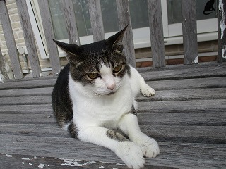 IMG_5885ss.jpg