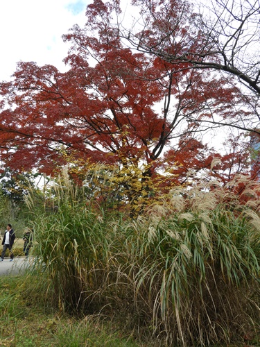 皇居東御苑