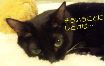20120711_4.jpg