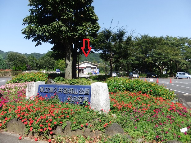 津久井そば@津久井湖1