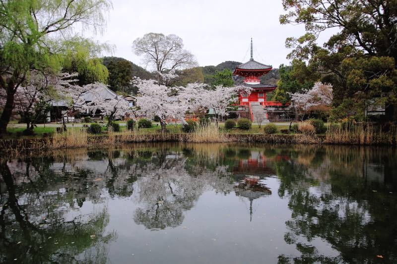 大沢池_002.jpg