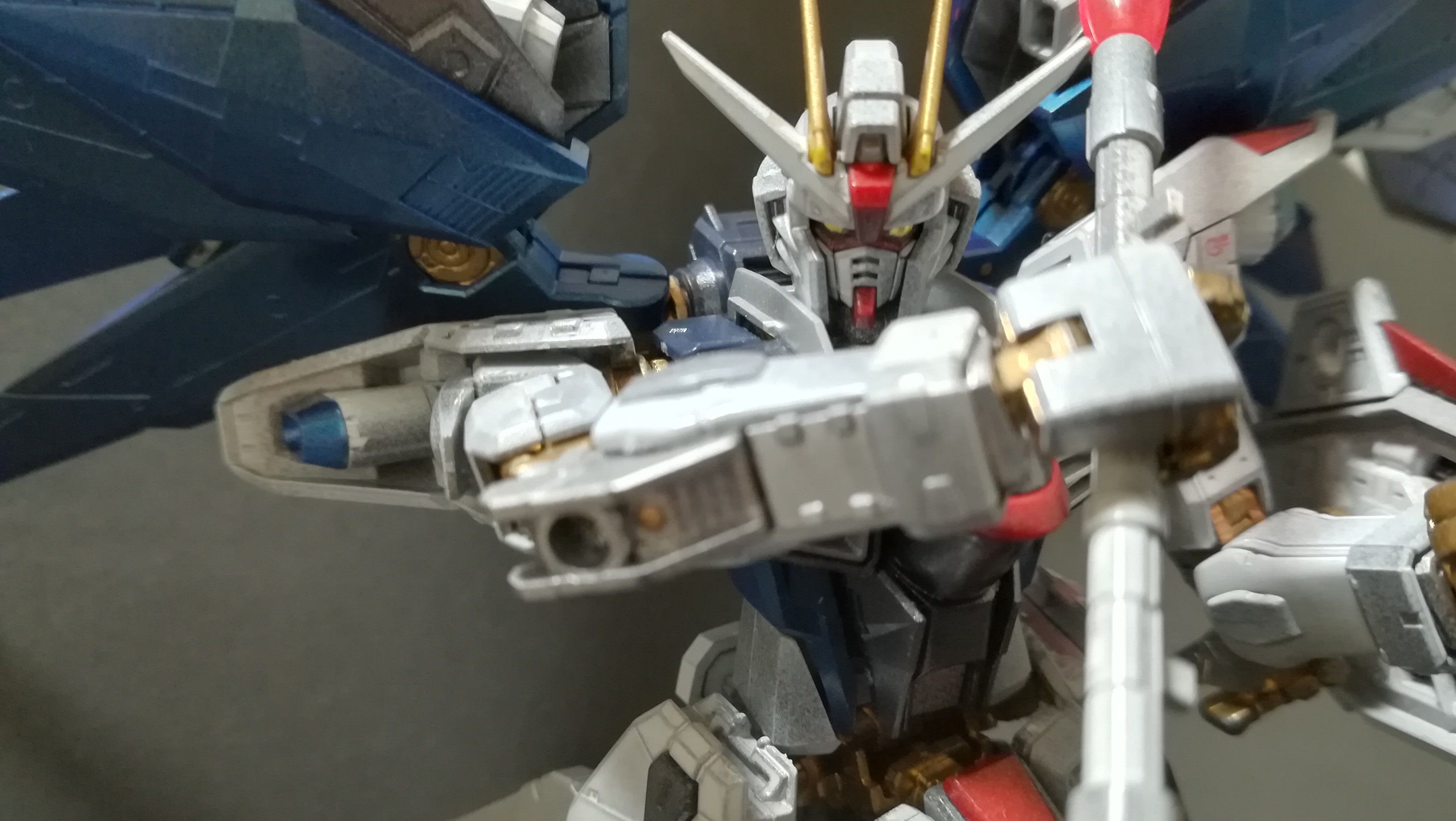 Rg フリーダムガンダム ガンダムseed プラモトーシロー 楽天ブログ