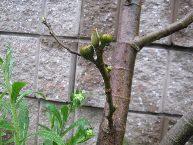 2012 04 11 008.jpg