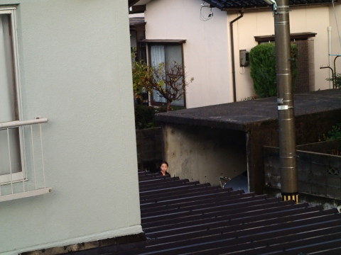 nitijou131112007