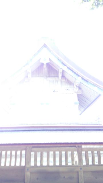 16452683_2003055130_11large.jpg