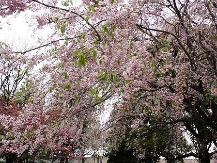 DSC05180.jpg