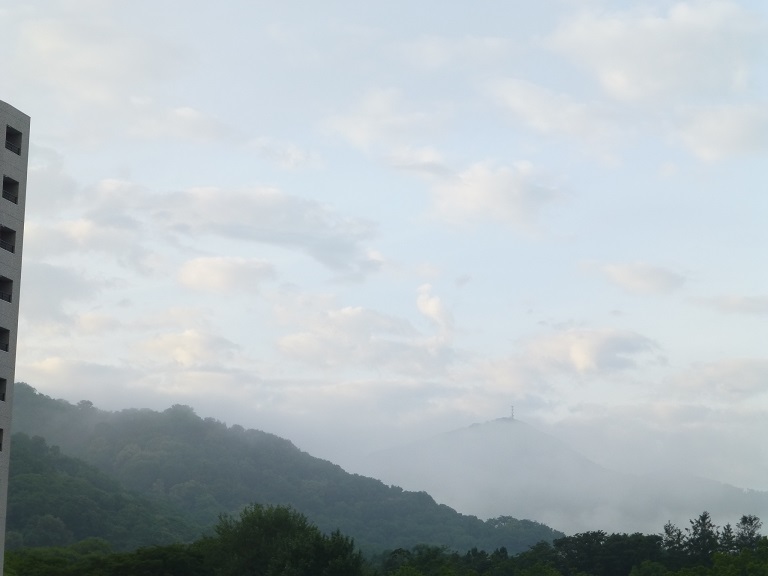 P1000724.jpg