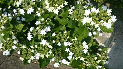 rblog-20160530225404-02.jpg