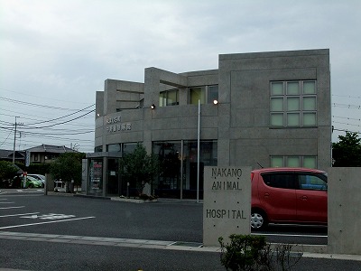 DSCF2171.jpg