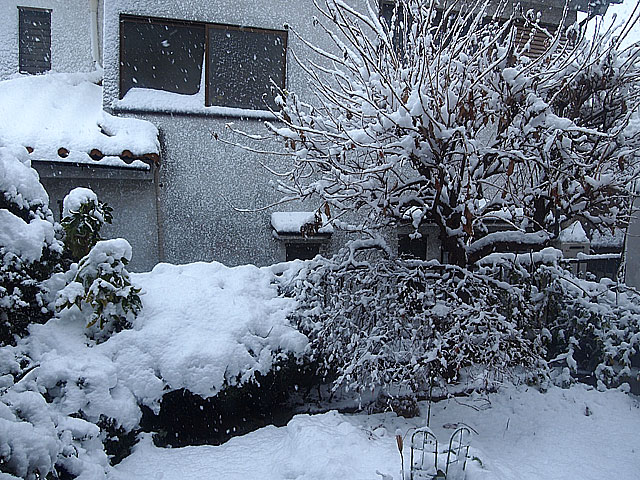 初雪２０１３