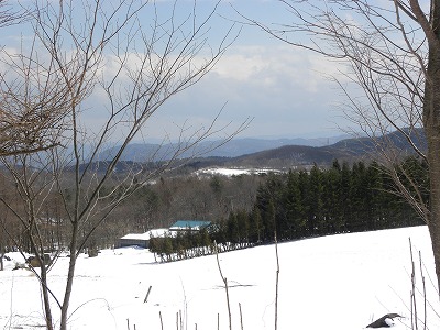 DSCN8102.jpg