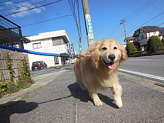 conv0754.JPG