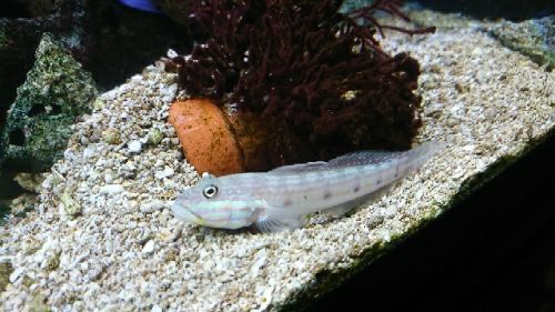 rblog-20171107221712-05.jpg