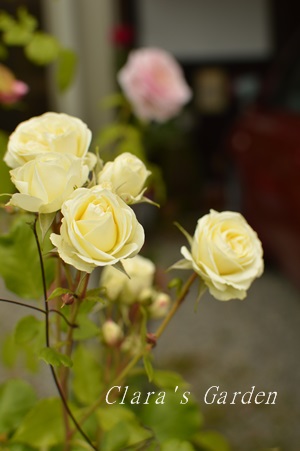 DSC_0018.JPG