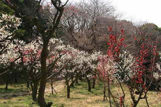 IMG_6887.jpg