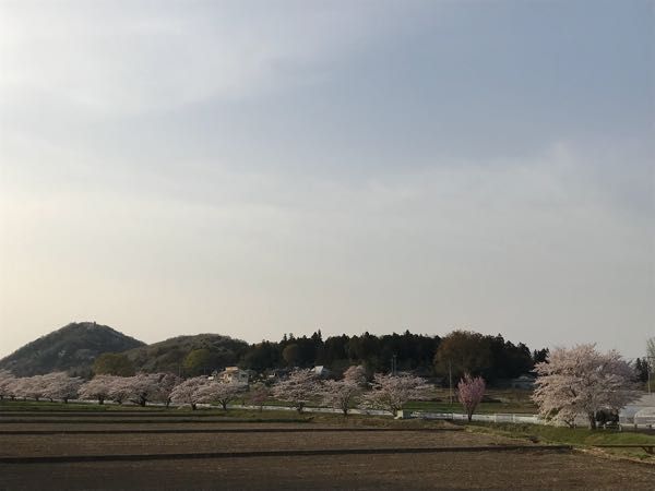 rblog-20180423000902-06.jpg