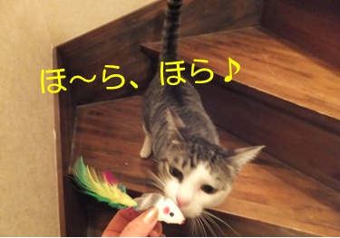 20121114_3.jpg