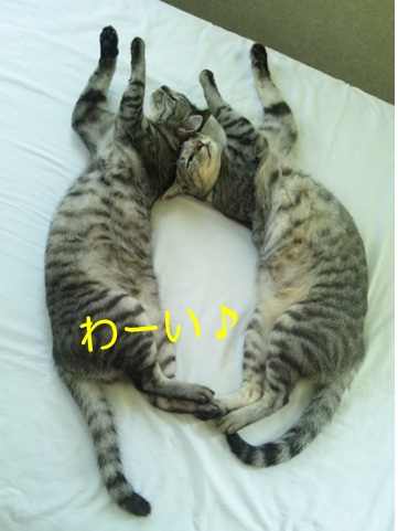 20120909_5.jpg